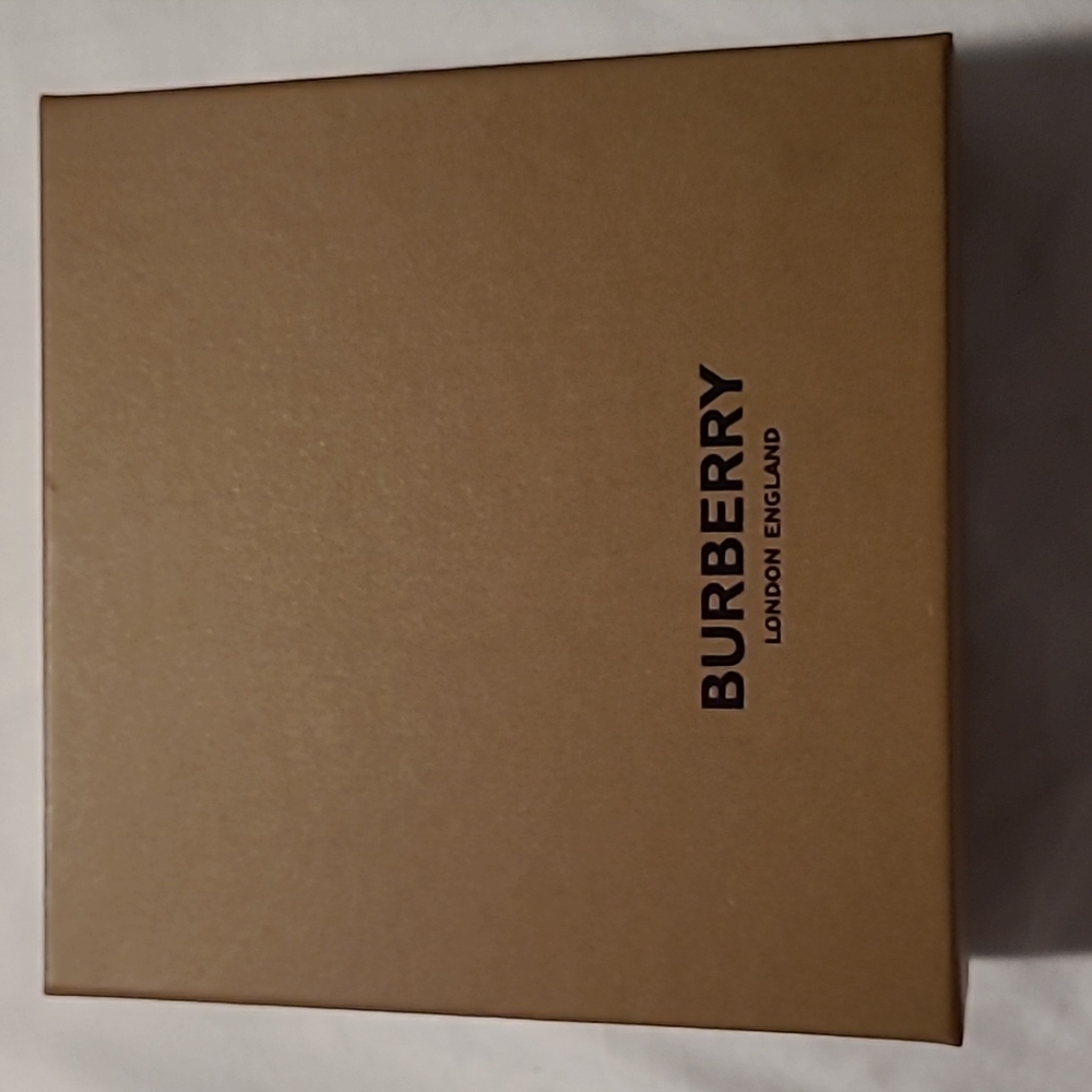 Small brown BURBERRY box and bag